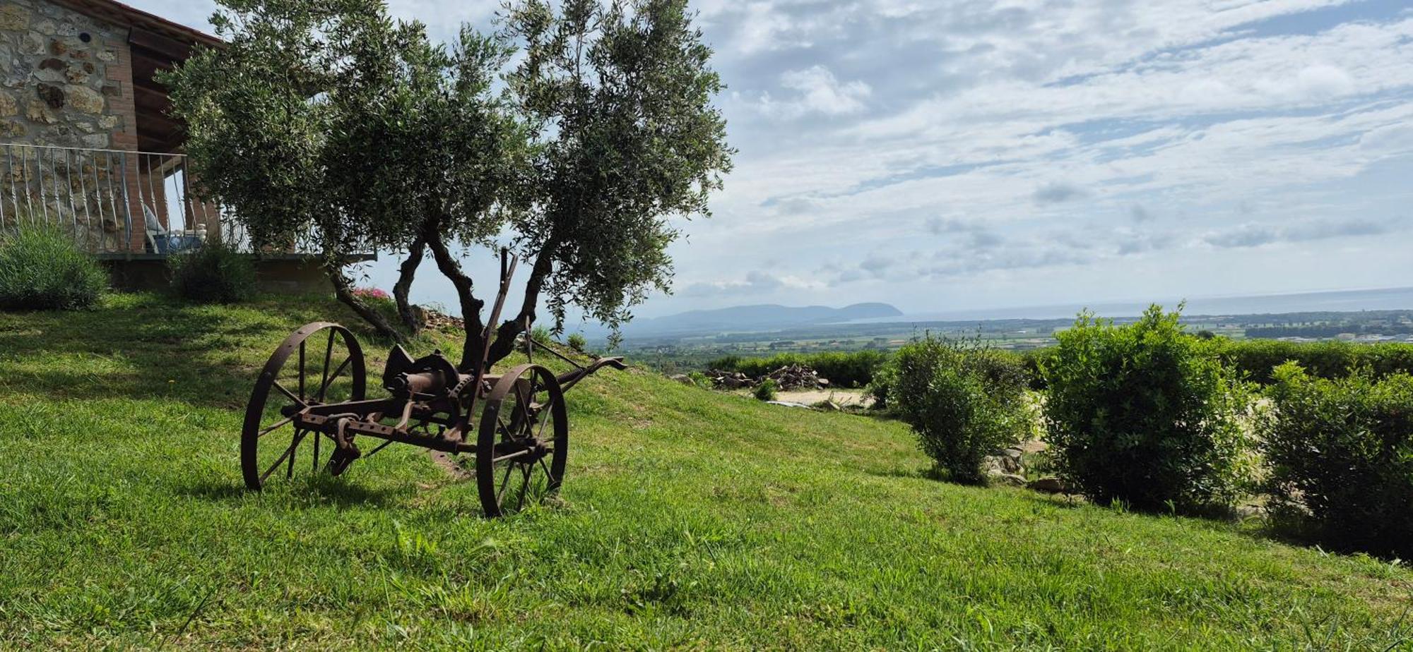 Agriturismo Suite Del Conte San Vincenzo Buitenkant foto